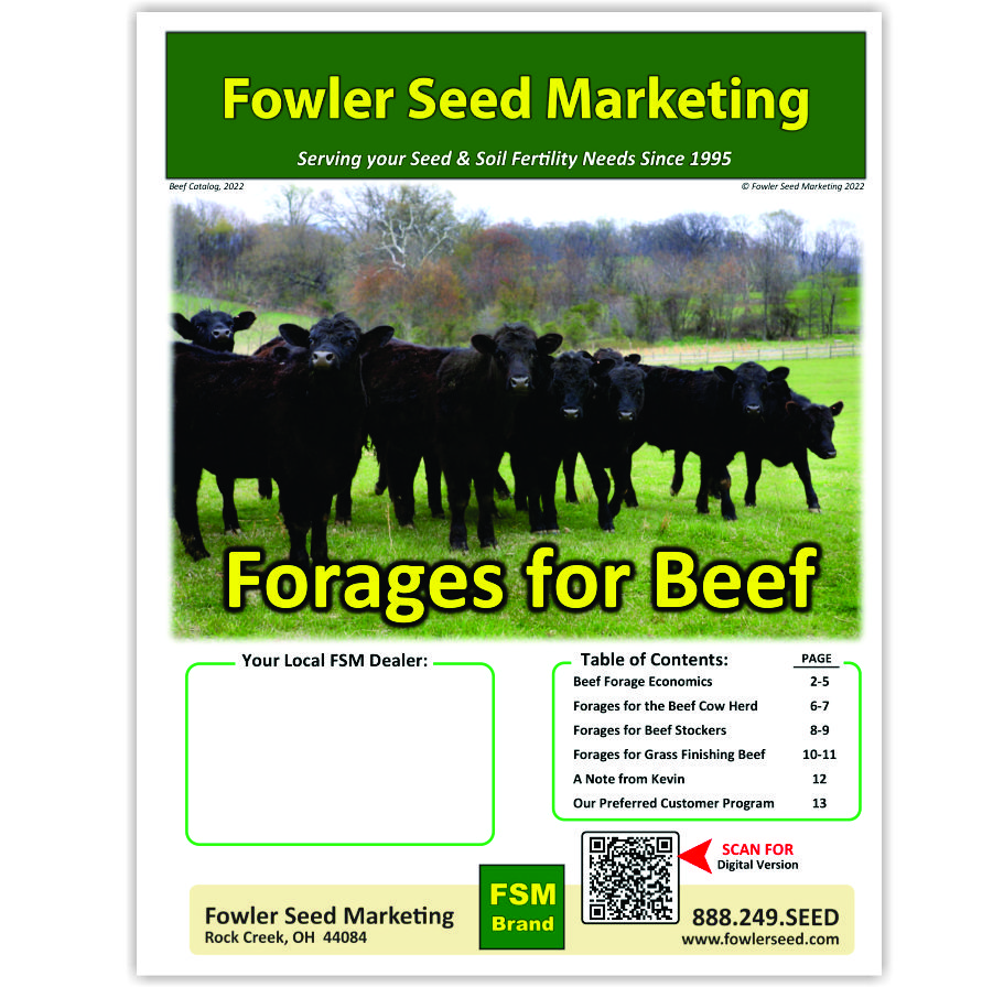 I BeefCatalog 3x3 300