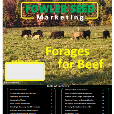 Forages for Beef 2026 front cover pic