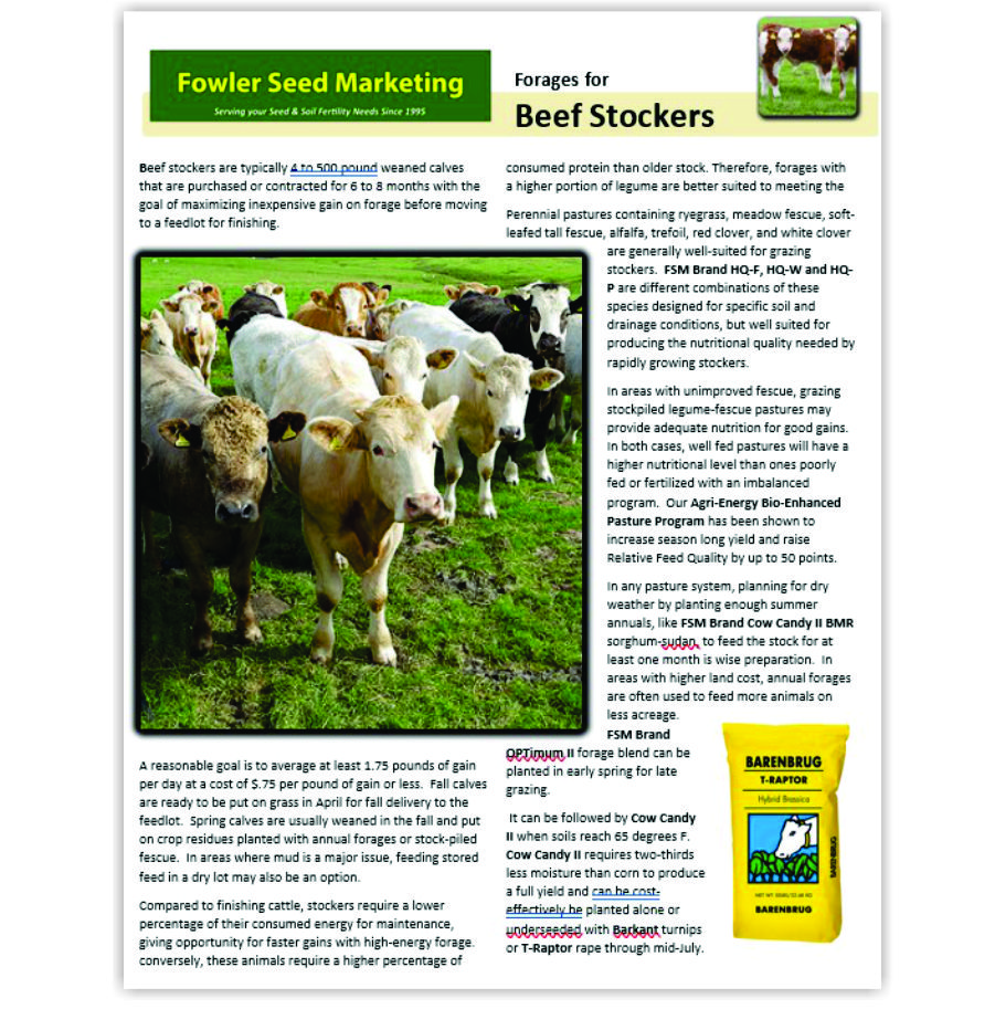 Best Forage for Beef Operation