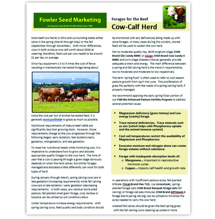 Forages for the Beef Cow-Calf Herd
