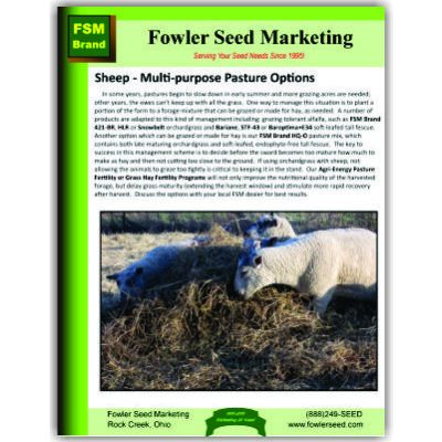 Sheep Multi-Purpose
