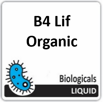 BL B4LO 1