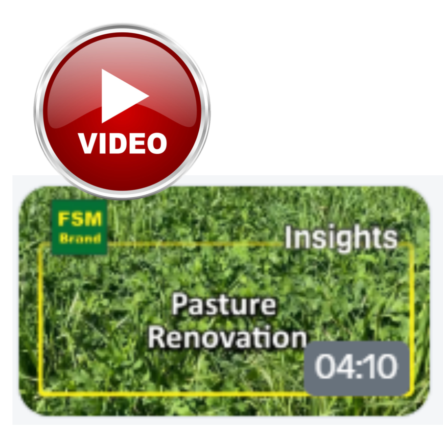 Pasture renovation 1
