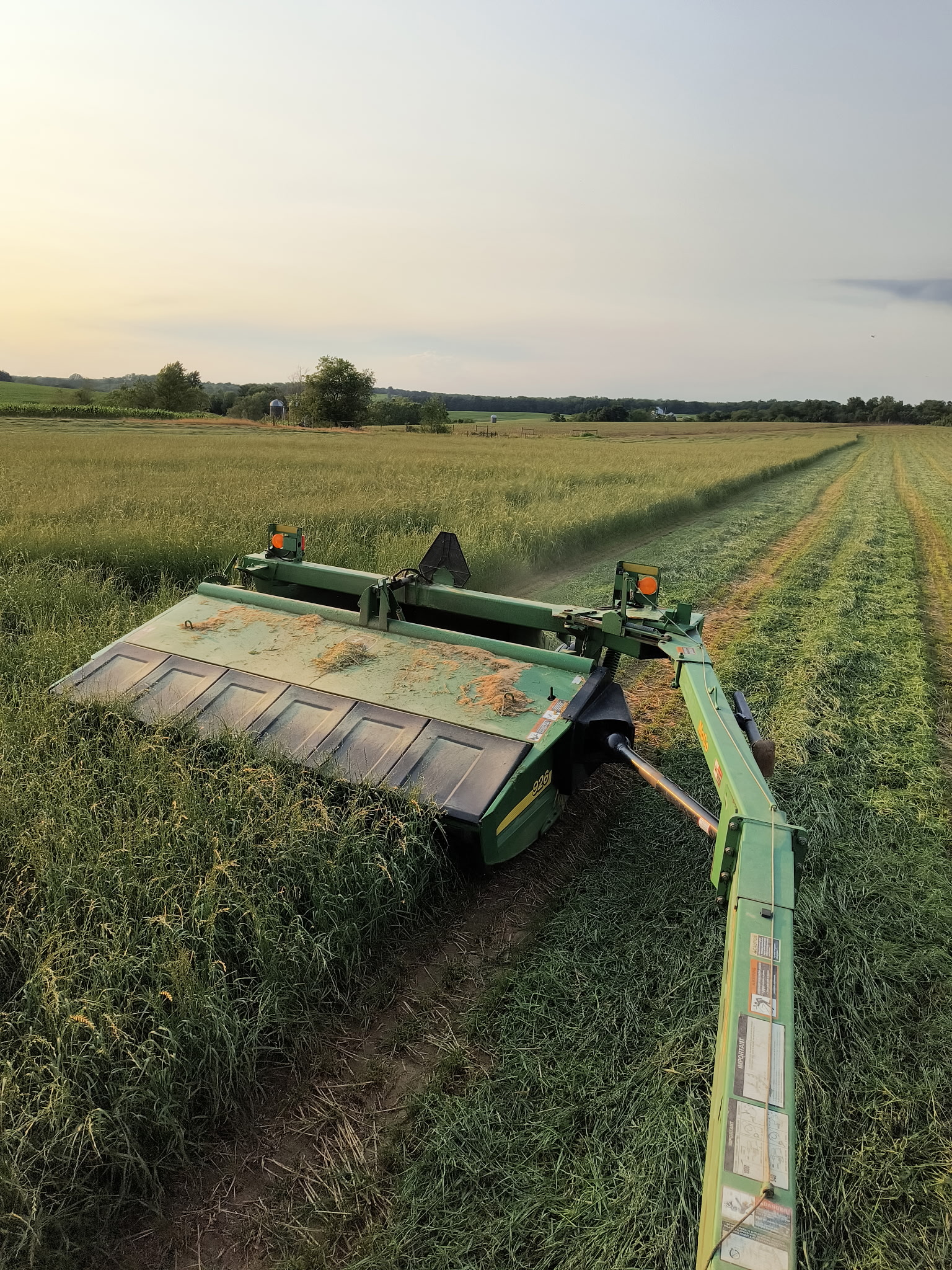 Green Spirit - Italian Ryegrass Blend - Image 3