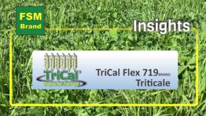 TriCal Flex 719 Triticale 2 frame at 0m2s